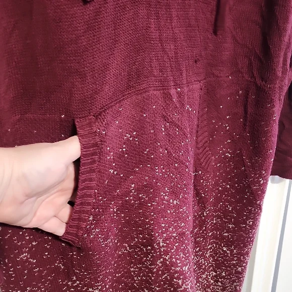Torrid Burgundy Long Sleeve Hoodie Dress - Picture 6 of 9